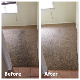 carpetcl01