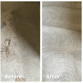 carpetcl02