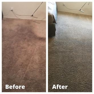 carpetcl03