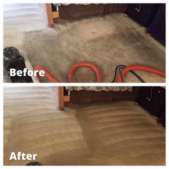 carpetcl05-1