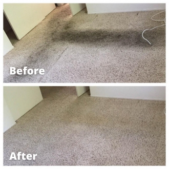 Carpet Cleaning Santa Clarita | Best Carpet Cleaner Santa Clarita