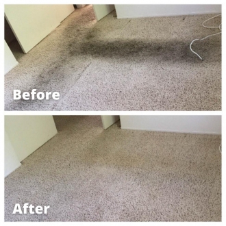 carpetcl07
