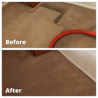 carpetcl08