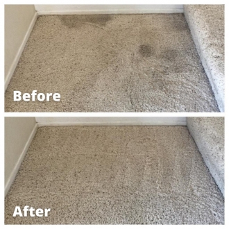carpetcl10