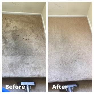 carpetcl11