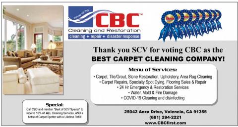 Best Carpet Cleaner