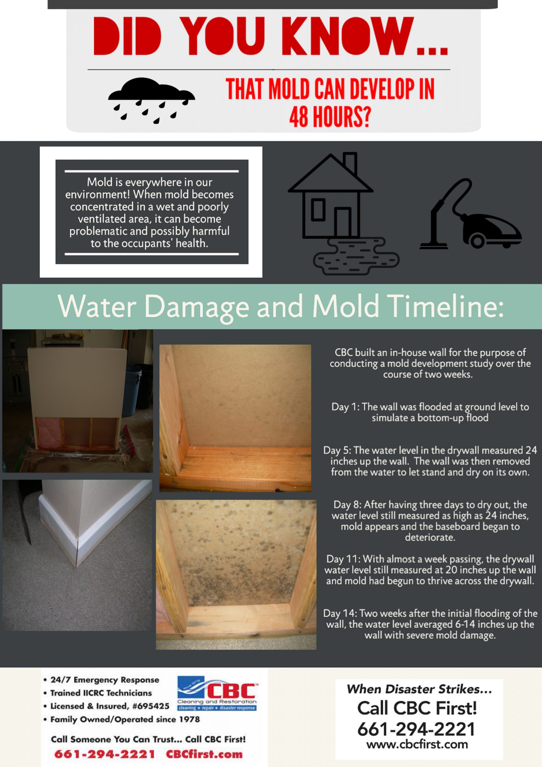 mold infograph 