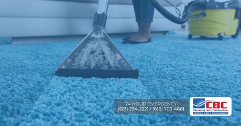 what to consider when hiring a carpet cleaner los angeles