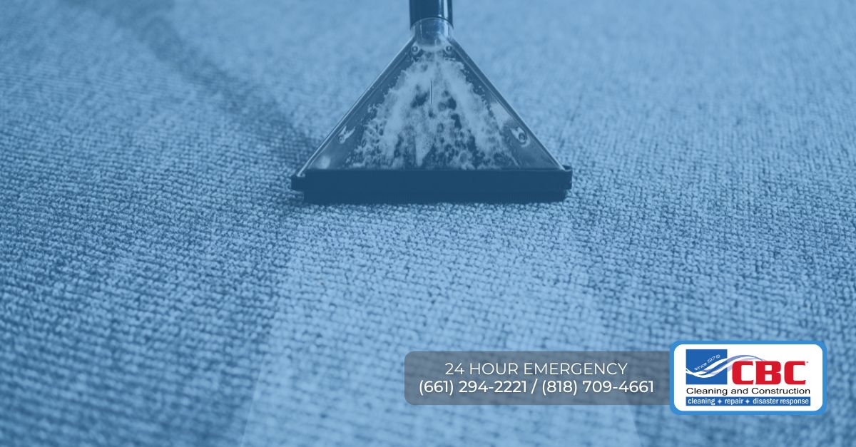 carpet cleaning