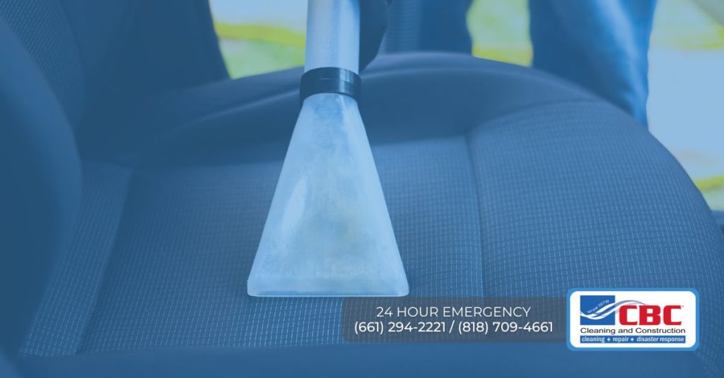 How To Remove Dog Urine Smell From Car Upholstery