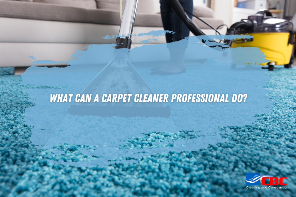 What Can a Carpet Cleaner Professional Do?