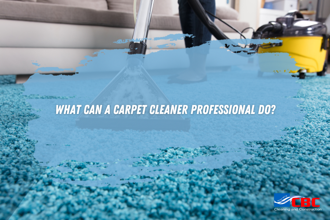 what-can-a-carpet-cleaner-professional-do