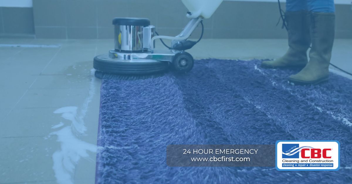 Carpet Cleaner in Los Angeles