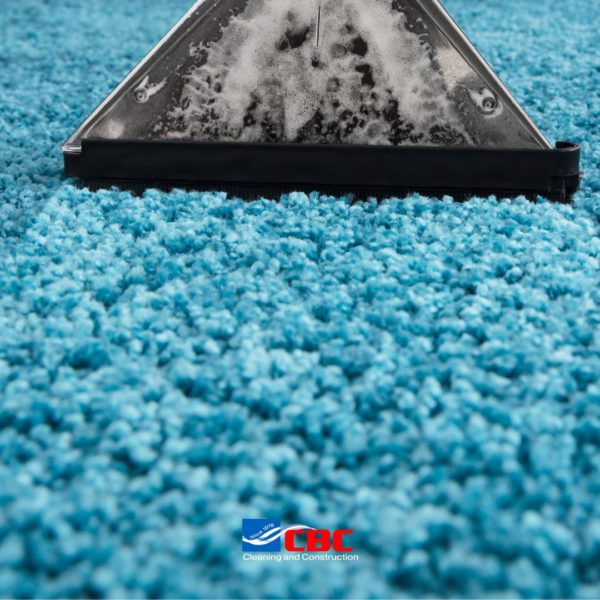 area rug cleaning Agoura Hills