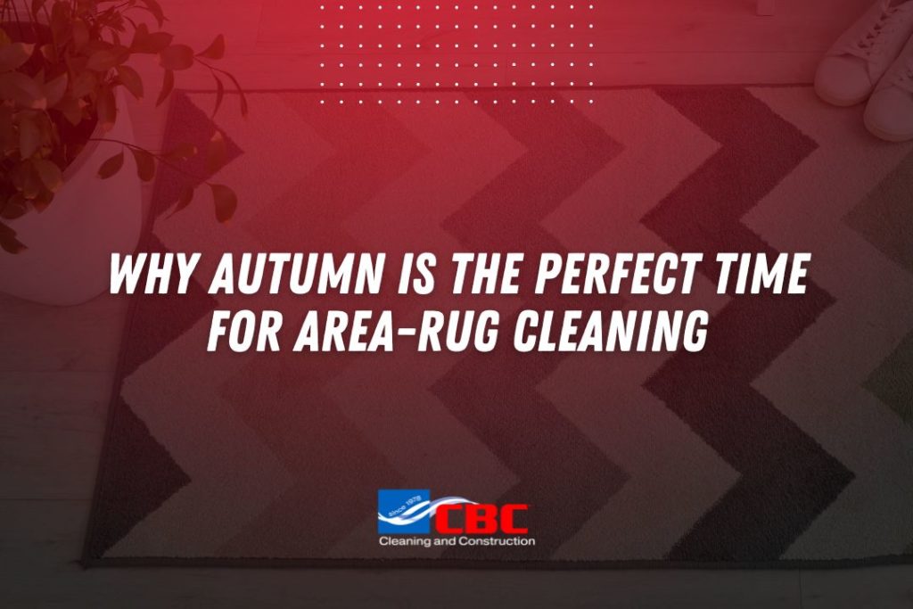 area rug cleaning valencia
