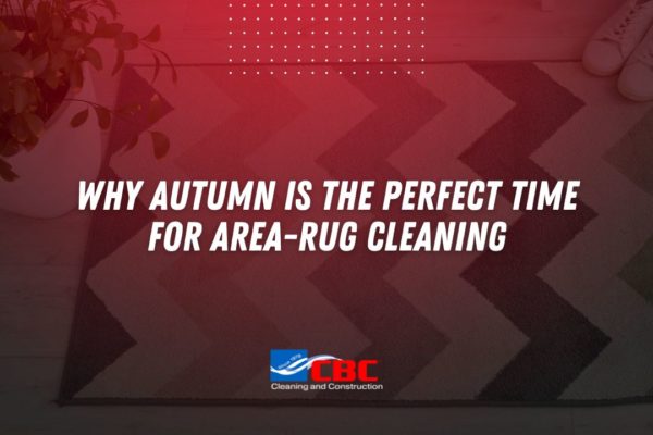 carpet cleaning valencia