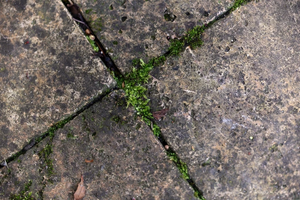 best benefits of getting travertine cleaning in summer