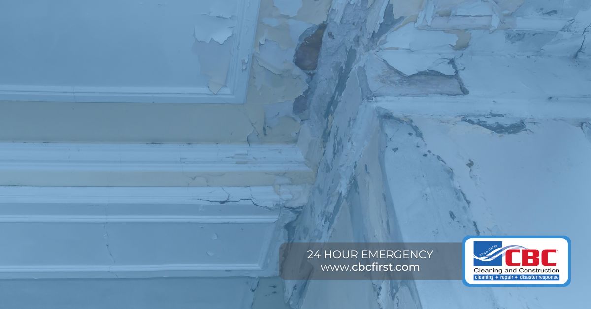 comprehensive prevention and restoration