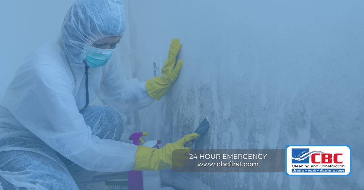 professional damage restoration