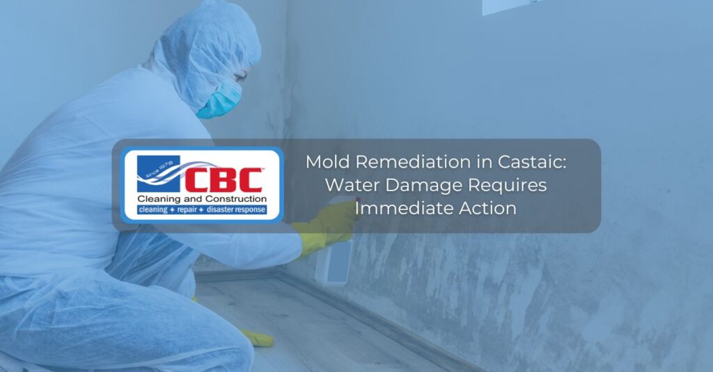 mold remediation in castaic water damage requires immediate action