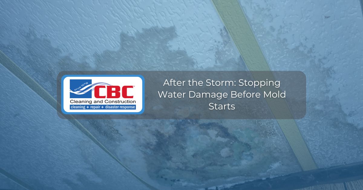 after the storm stopping water damage before mold starts