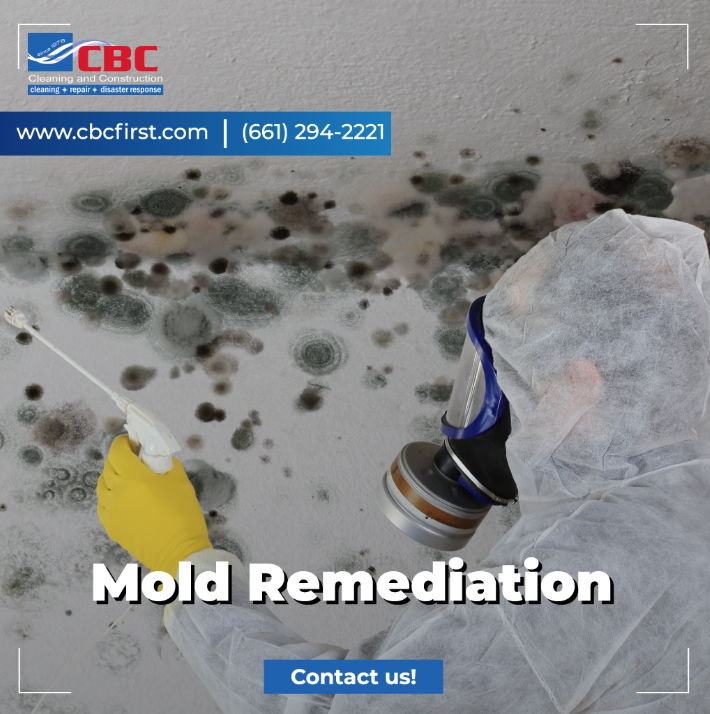 Mold Remediation Castaic: Water Damage Requires Immediate Action