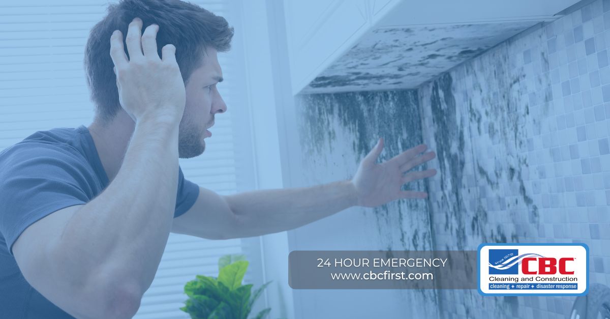 habits that help reduce mold