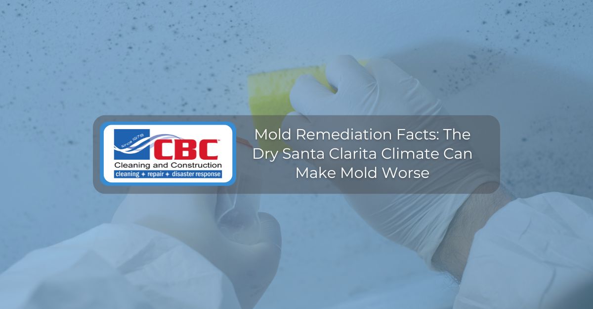 mold remediation facts the dry santa clarita climate can make mold worse